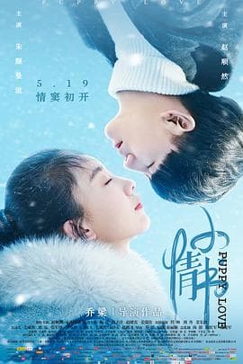 小情书海报