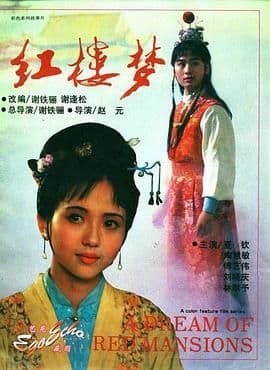 红楼梦第二部：黛玉葬花海报