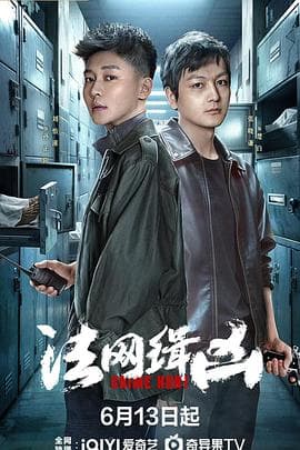 法网缉凶海报