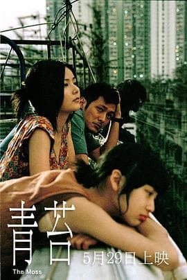 青苔粤语海报