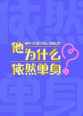 他为什么依然单身海报