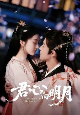 君心向明月海报