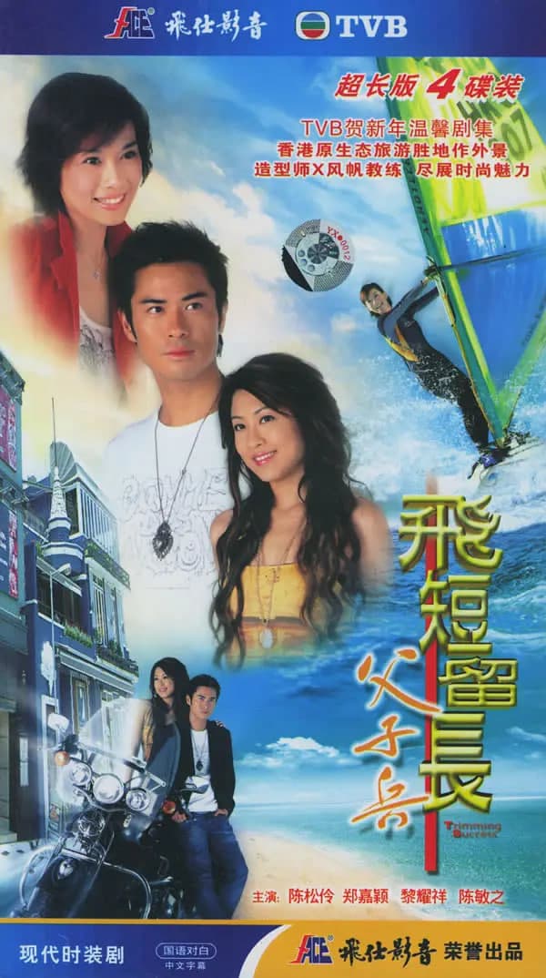 飞短留长父子兵海报
