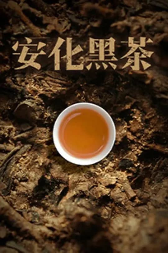 安化黑茶海报