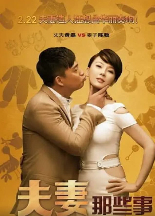夫妻那些事 2012海报