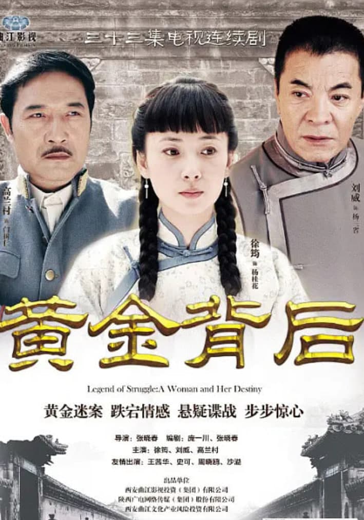 黄金背后 (2013)海报