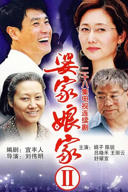 婆家娘家海报