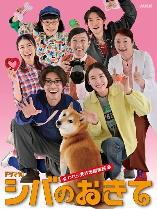 柴犬的规矩~我们这群狗痴编辑部海报