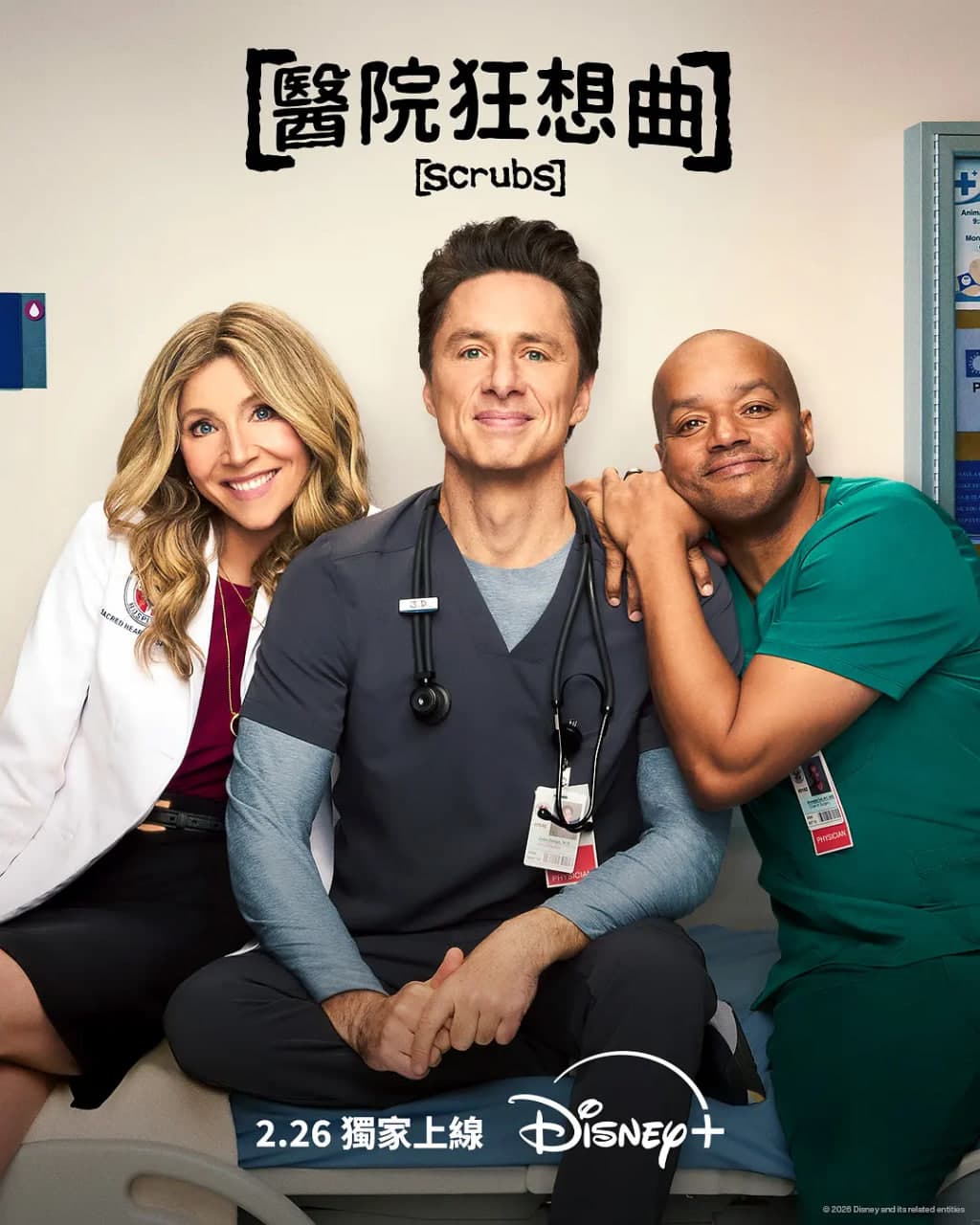 实习医生风云 第十季海报