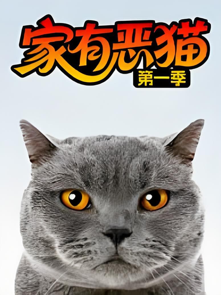 家有恶猫 第一季海报