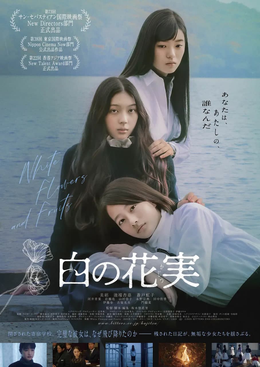 白色花果海报
