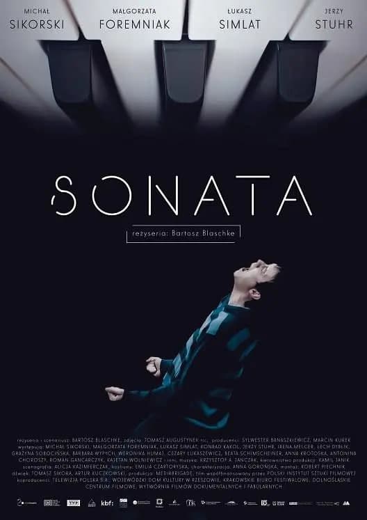奏鸣曲海报