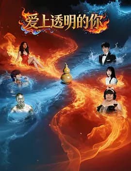 爱上透明的你海报