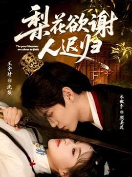 梨花欲谢人迟归海报