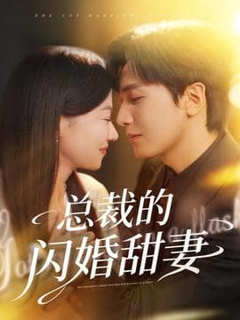 总裁的闪婚甜妻海报