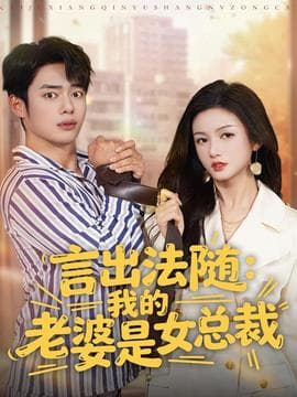 言出法随，我的老婆是女总裁海报