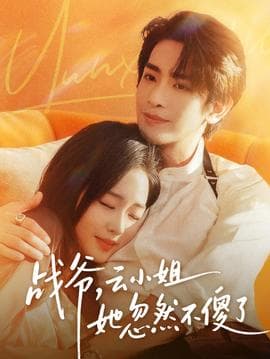 战爷，云小姐她忽然不傻了海报