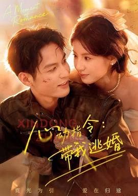 心动指令：带我逃婚海报