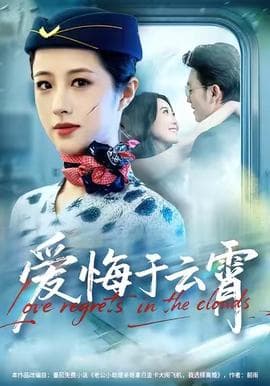 爱悔于云霄海报