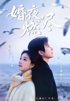 婚夜，燃尽海报