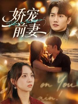娇宠前妻海报