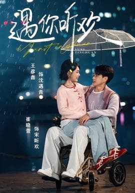 遇你听欢海报