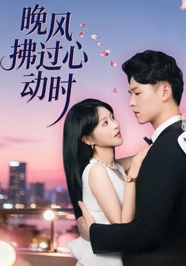 晚风拂过心动时海报