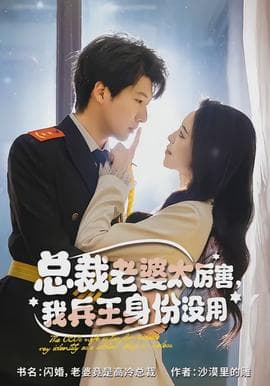 总裁老婆太厉害，我兵王身份没用海报