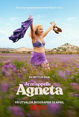 我叫艾妮塔海报