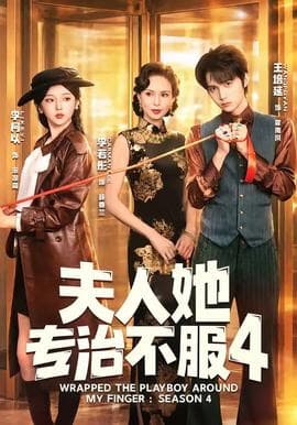 夫人她专治不服4海报