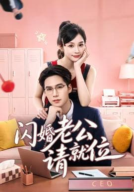 闪婚老公请就位海报