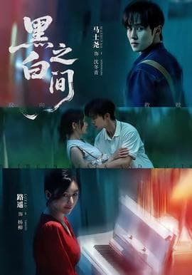 黑白之间海报