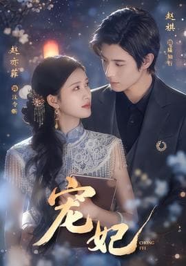 宠妃海报