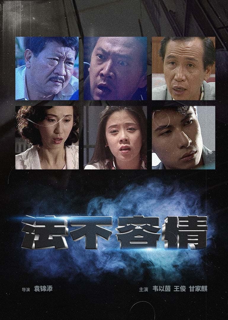 法不容情1995海报
