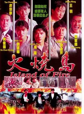 火烧岛1991海报