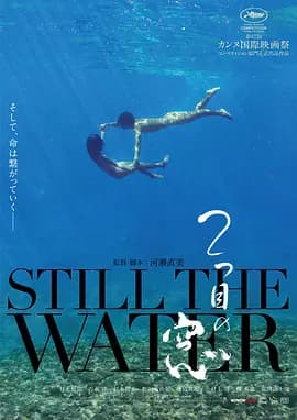 第二扇窗海报