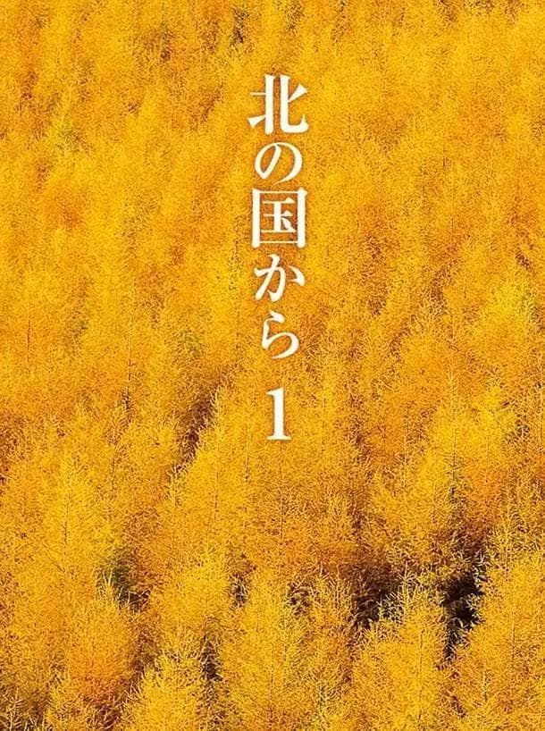 北国之恋海报
