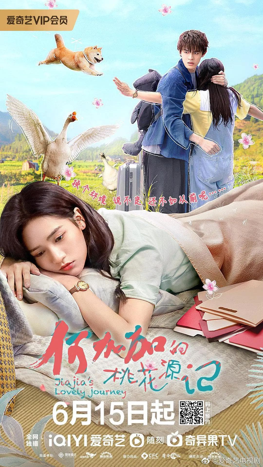 何加加的桃花源记海报