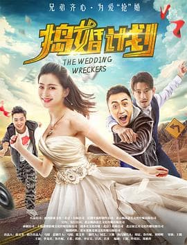 捣婚计划海报