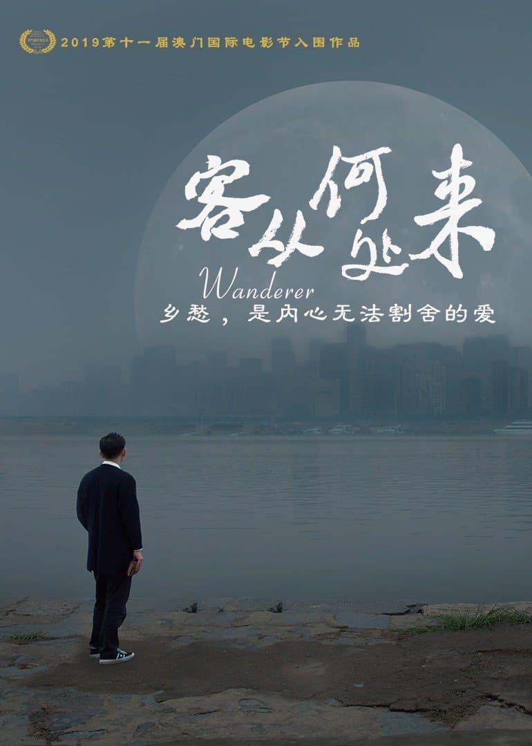 客从何处来海报