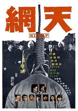天网1974海报