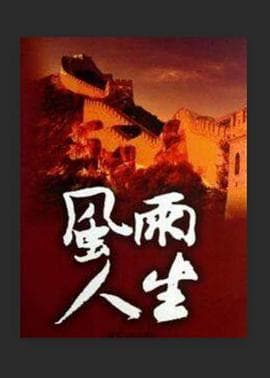 风雨人生海报