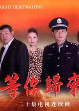 等你归来海报