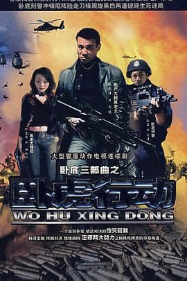 卧虎行动海报
