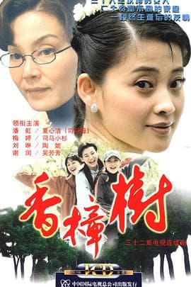 香樟树海报