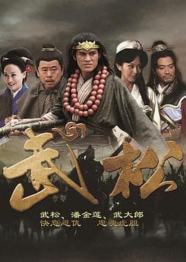武松2013海报