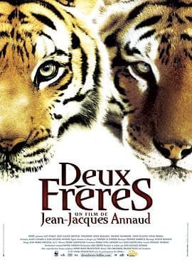 虎兄虎弟 Deux frères海报
