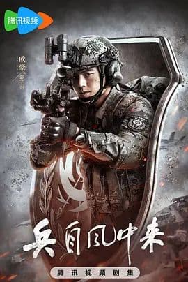 兵自风中来海报
