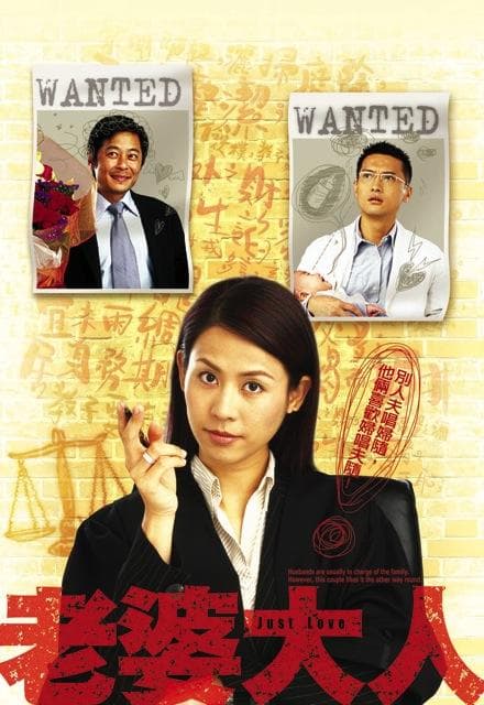 老婆大人海报