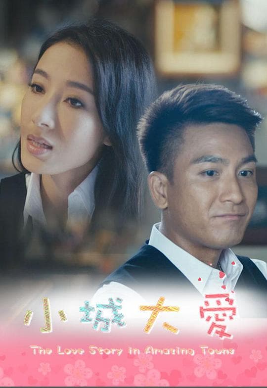 小城大爱系列剧海报